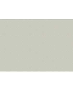 ARTS2 002/2  Обои Artsimple (Mozart) (1*6) 10,05x1,00 флизелин-foto2