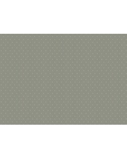 ARTS2 005  Обои Artsimple (Mozart) (1*6) 10,05x1,00 флизелин-foto2