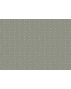 ARTS2 005  Обои Artsimple (Mozart) (1*6) 10,05x1,00 флизелин-foto2