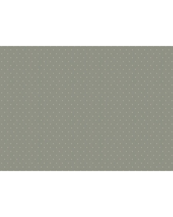 ARTS2 005  Обои Artsimple (Mozart) (1*6) 10,05x1,00 флизелин