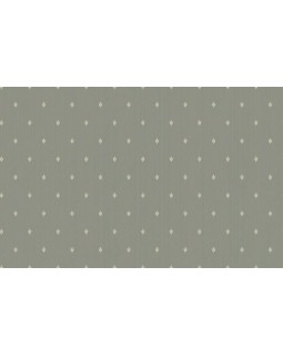 ARTS2 005  Обои Artsimple (Mozart) (1*6) 10,05x1,00 флизелин