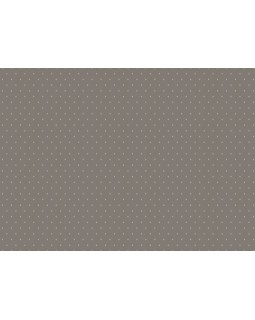 ARTS2 010  Обои Artsimple (Mozart) (1*6) 10,05x1,00 флизелин-foto2