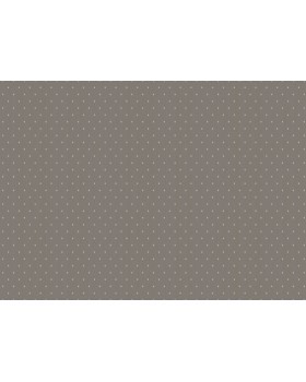 ARTS2 010  Обои Artsimple (Mozart) (1*6) 10,05x1,00 флизелин-foto2