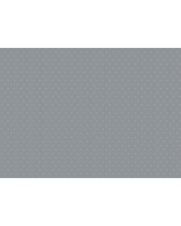ARTS2 011  Обои Artsimple (Mozart) (1*6) 10,05x1,00 флизелин