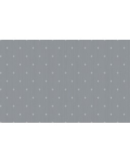 ARTS2 011  Обои Artsimple (Mozart) (1*6) 10,05x1,00 флизелин