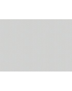 ARTS3 001  Обои Artsimple (Mozart) (1*6) 10,05x1,00 флизелин-foto2