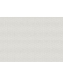 ARTS3 001/1  Обои Artsimple (Mozart) (1*6) 10,05x1,00 флизелин-foto2