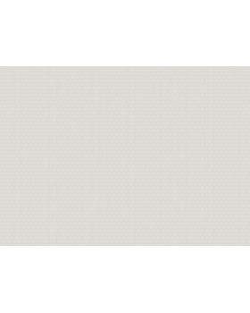 ARTS3 001/1 Обои Artsimple (Mozart) (1*6) 10,05x1,00 флизелин-foto2