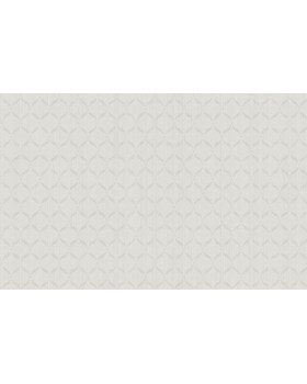 ARTS3 001/1  Обои Artsimple (Mozart) (1*6) 10,05x1,00 флизелин