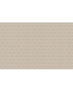 ARTS3 002/2  Обои Artsimple (Mozart) (1*6) 10,05x1,00 флизелин
