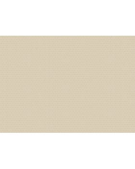 ARTS3 003 Обои Artsimple (Mozart) (1*6) 10,05x1,00 флизелин-foto2