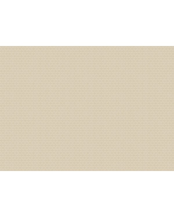 ARTS3 003  Обои Artsimple (Mozart) (1*6) 10,05x1,00 флизелин