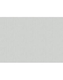 ARTS4 001  Обои Artsimple (Mozart) (1*6) 10,05x1,00 флизелин-foto2