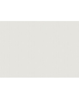 ARTS4 001/1  Обои Artsimple (Mozart) (1*6) 10,05x1,00 флизелин-foto2