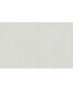 ARTS4 001/2  Обои Artsimple (Mozart) (1*6) 10,05x1,00 флизелин