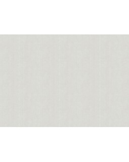 ARTS4 001/2  Обои Artsimple (Mozart) (1*6) 10,05x1,00 флизелин-foto2