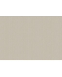 ARTS4 002  Обои Artsimple (Mozart) (1*6) 10,05x1,00 флизелин-foto2