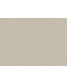 ARTS4 002  Обои Artsimple (Mozart) (1*6) 10,05x1,00 флизелин-foto2