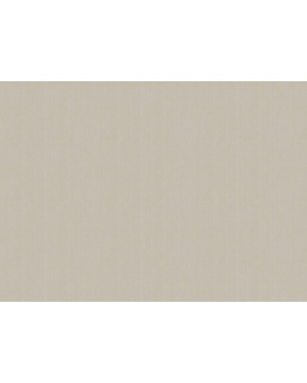 ARTS4 002  Обои Artsimple (Mozart) (1*6) 10,05x1,00 флизелин