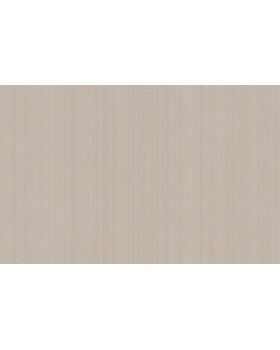 ARTS4 002/2  Обои Artsimple (Mozart) (1*6) 10,05x1,00 флизелин