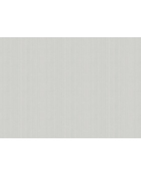 ARTS4 002/3  Обои Artsimple (Mozart) (1*6) 10,05x1,00 флизелин-foto2