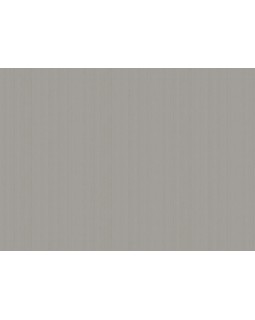 ARTS4 002/4  Обои Artsimple (Mozart) (1*6) 10,05x1,00 флизелин-foto2