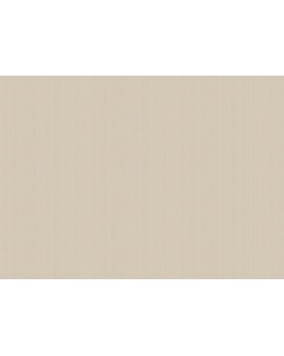 ARTS4 003  Обои Artsimple (Mozart) (1*6) 10,05x1,00 флизелин-foto2