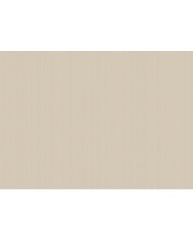 ARTS4 003  Обои Artsimple (Mozart) (1*6) 10,05x1,00 флизелин-foto2