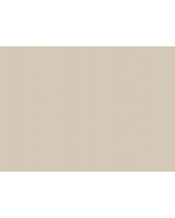 ARTS4 003  Обои Artsimple (Mozart) (1*6) 10,05x1,00 флизелин