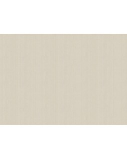 ARTS4 003/1  Обои Artsimple (Mozart) (1*6) 10,05x1,00 флизелин-foto2