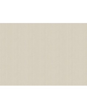 ARTS4 003/1  Обои Artsimple (Mozart) (1*6) 10,05x1,00 флизелин-foto2