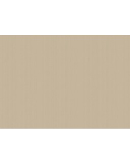 ARTS4 004  Обои Artsimple (Mozart) (1*6) 10,05x1,00 флизелин-foto2