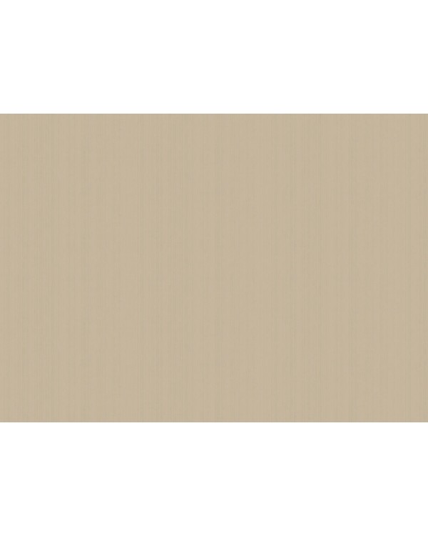 ARTS4 004  Обои Artsimple (Mozart) (1*6) 10,05x1,00 флизелин
