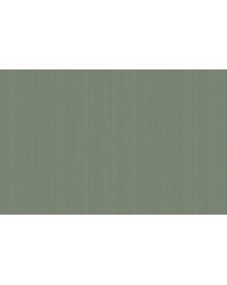 ARTS4 005  Обои Artsimple (Mozart) (1*6) 10,05x1,00 флизелин