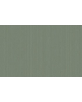ARTS4 005  Обои Artsimple (Mozart) (1*6) 10,05x1,00 флизелин