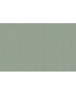 ARTS4 005/1  Обои Artsimple (Mozart) (1*6) 10,05x1,00 флизелин