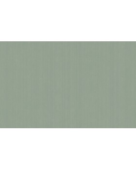 ARTS4 005/1  Обои Artsimple (Mozart) (1*6) 10,05x1,00 флизелин