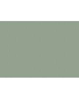 ARTS4 005/1  Обои Artsimple (Mozart) (1*6) 10,05x1,00 флизелин-foto2