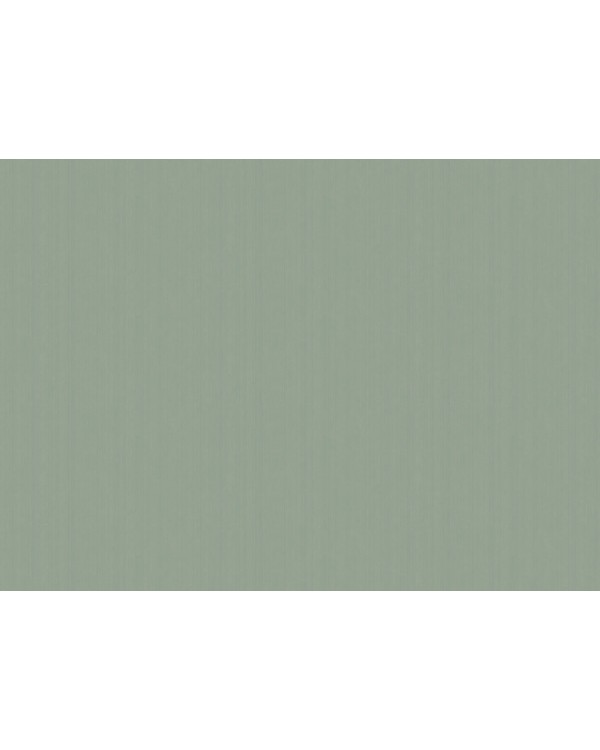 ARTS4 005/1  Обои Artsimple (Mozart) (1*6) 10,05x1,00 флизелин