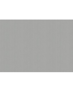 ARTS4 008  Обои Artsimple (Mozart) (1*6) 10,05x1,00 флизелин-foto2