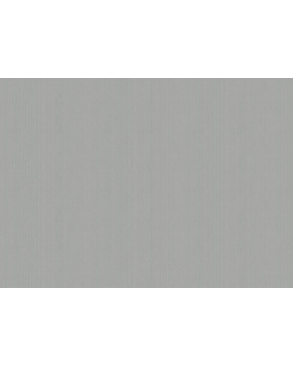 ARTS4 008  Обои Artsimple (Mozart) (1*6) 10,05x1,00 флизелин