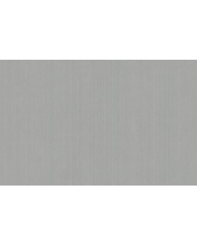 ARTS4 008 Обои Artsimple (Mozart) (1*6) 10,05x1,00 флизелин ARTS4 008 Обои Artsimple (Mozart) (1*6) 10,05x1,00 флизелин