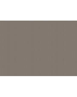 ARTS4 010  Обои Artsimple (Mozart) (1*6) 10,05x1,00 флизелин-foto2