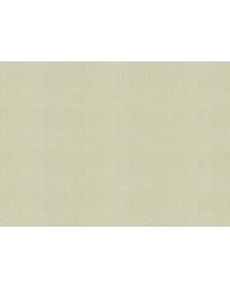 KM5009 Обои Kerama Marazzi (April/Primavera/Eden/Bamboo) (1*4) 10,05*1,06 винил на флизелине-foto2