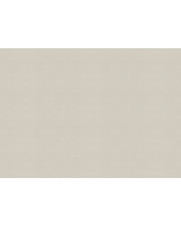 KM5507 Обои Kerama Marazzi (Palazzo/Boiserie/Tressage) (1*4) 10,05*1,06 винил на флизелине-foto2