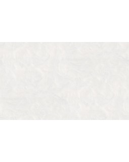 KM6706 Обои Kerama Marazzi (Palazzo/Boiserie/Tressage) (1*4) 10,05*1,06 винил на флизелине