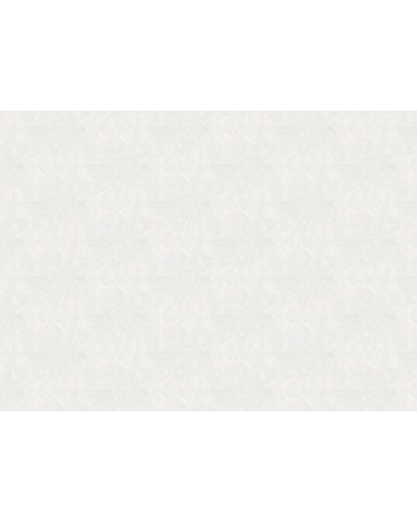 KM6706 Обои Kerama Marazzi (Palazzo/Boiserie/Tressage) (1*4) 10,05*1,06 винил на флизелине