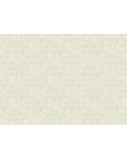 KM6708 Обои Kerama Marazzi (Palazzo/Boiserie/Tressage) (1*4) 10,05*1,06 винил на флизелине-foto2