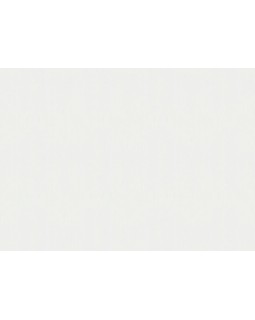 30036 Обои Marburg (Selection/Structure) (1*6) 10,05x1,06 винил на флизелине-foto2