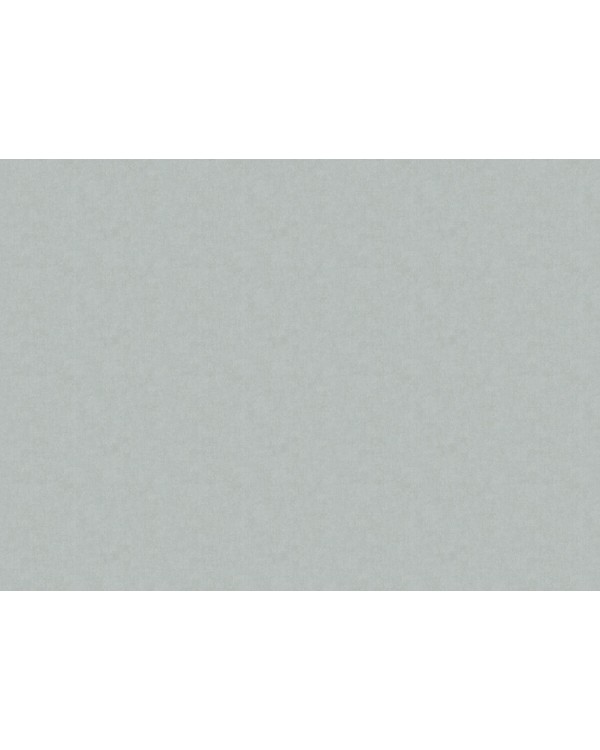 ARTS13 001/1 Обои Artsimple (Valley/Holidays) (1*6) 10,05x1,00 флизелин